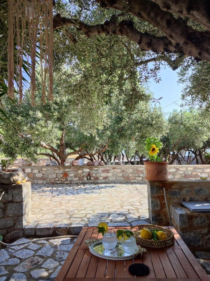 Ktima Zaxarias Hotel Kokkala Luaran gambar