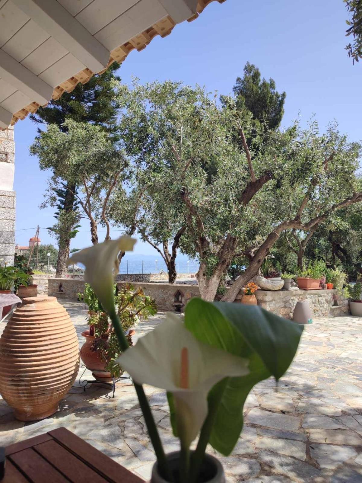 Ktima Zaxarias Hotel Kokkala Luaran gambar